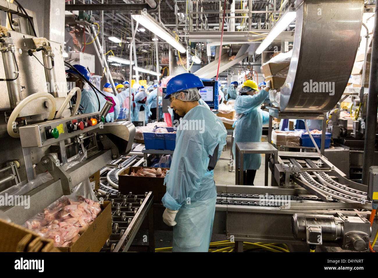 Chicken processing plant hires stock photography and images Alamy