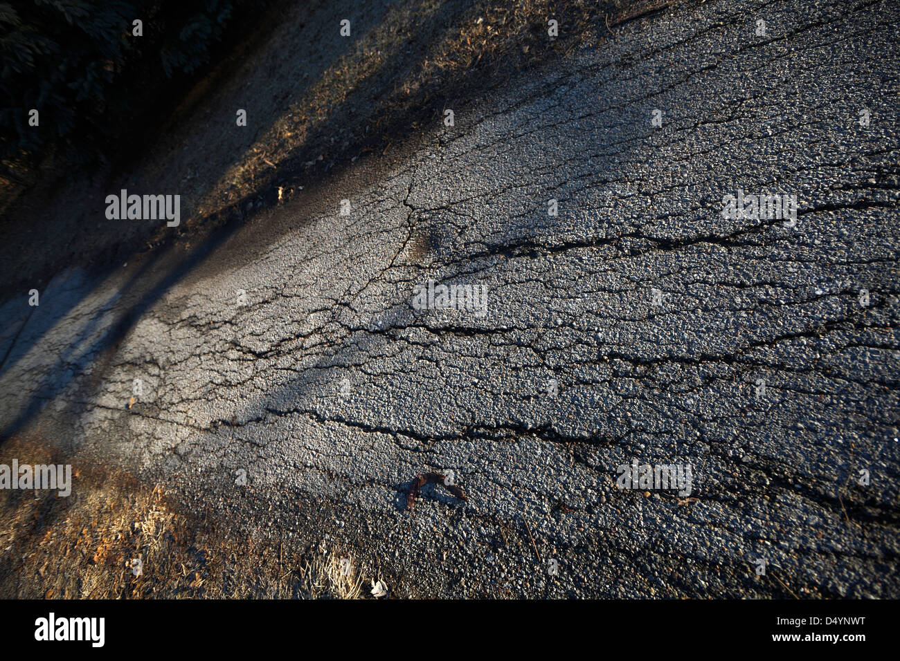 Exercise path hi-res stock photography and images - Alamy