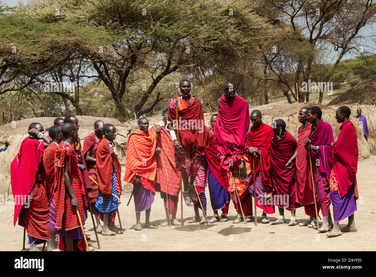 Masai Celebration Stock Photo
