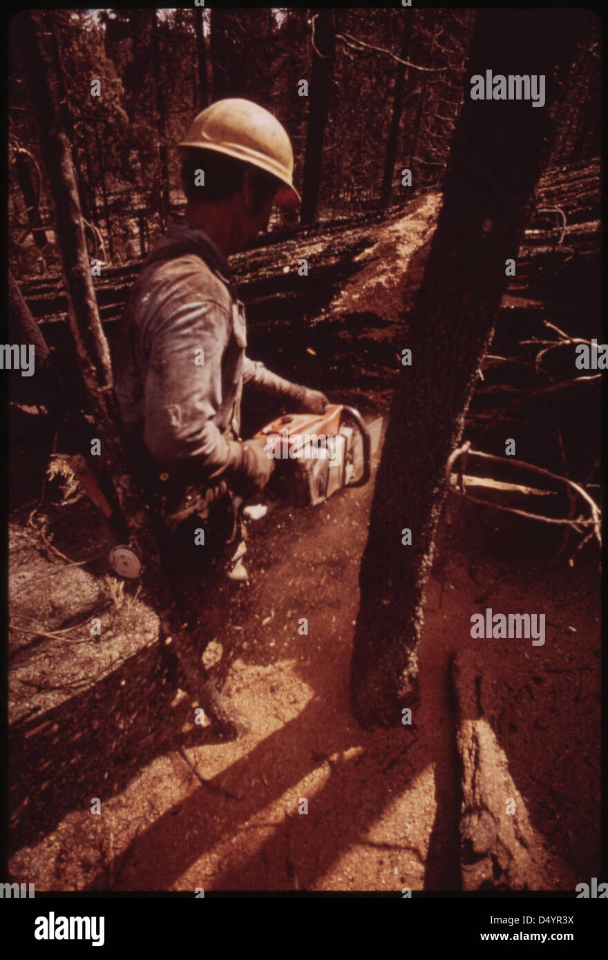 In August, 1973 a major forest fire swept through 17,470 acres of the