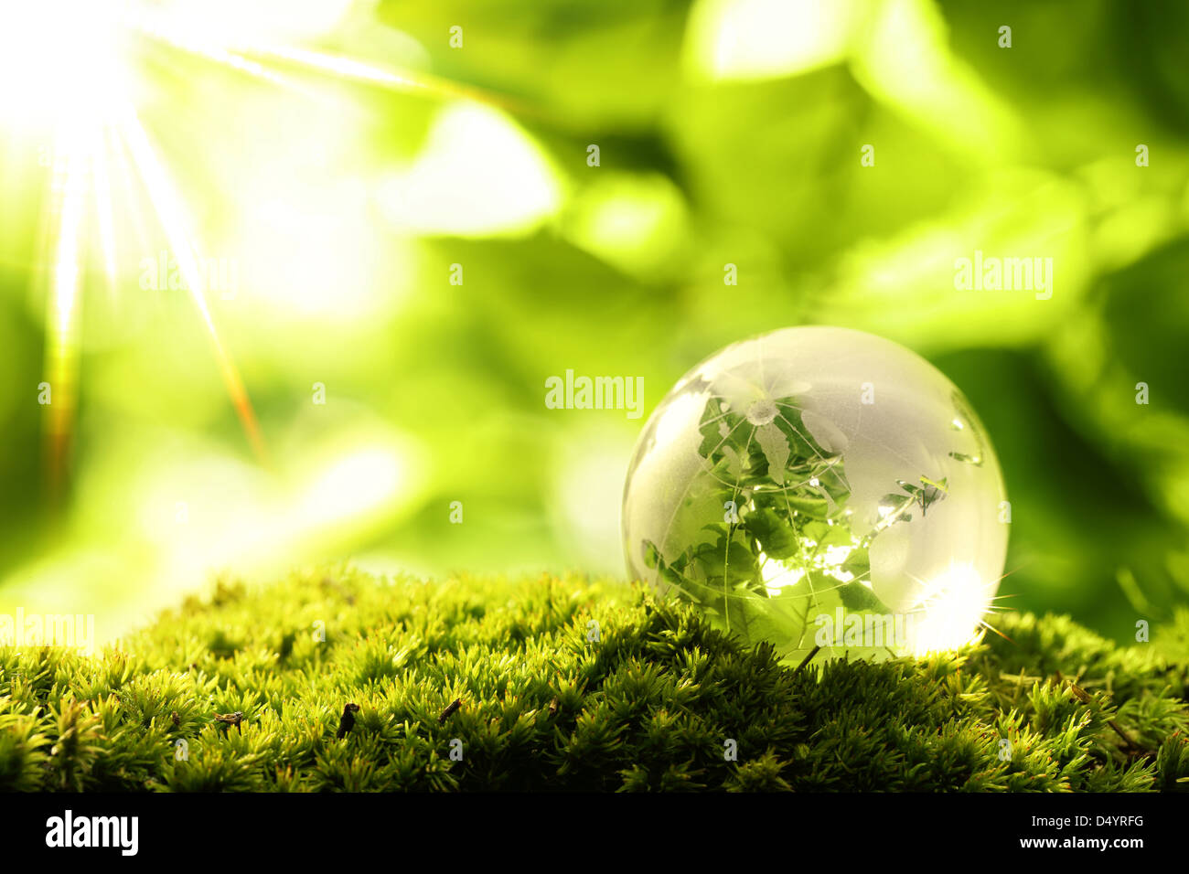Glass globe resting on moss stone in a forest Stock Photo - Alamy