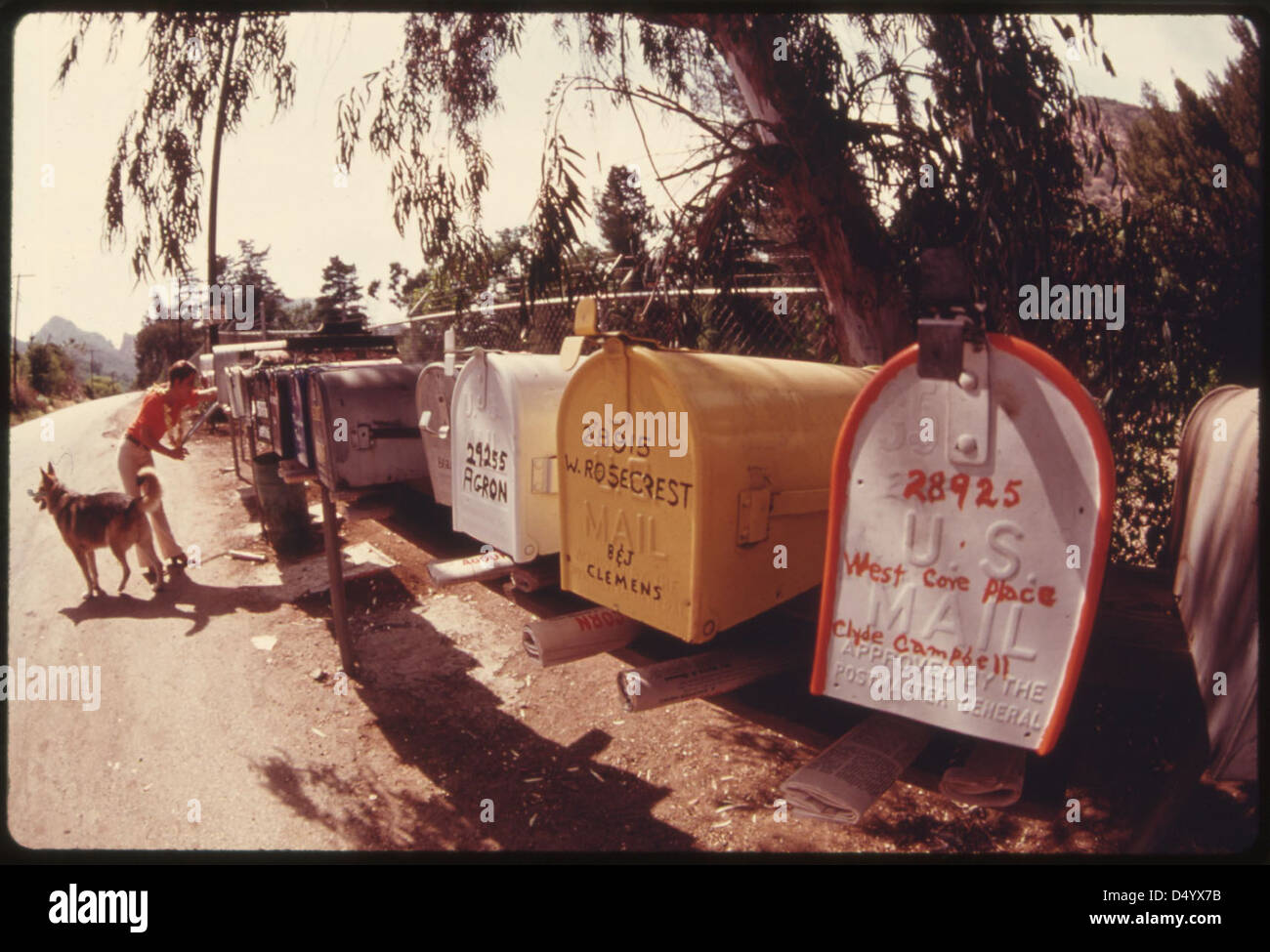 Clustered mailboxes help the mailman whose route takes him to the Malibu Lake area in the Santa