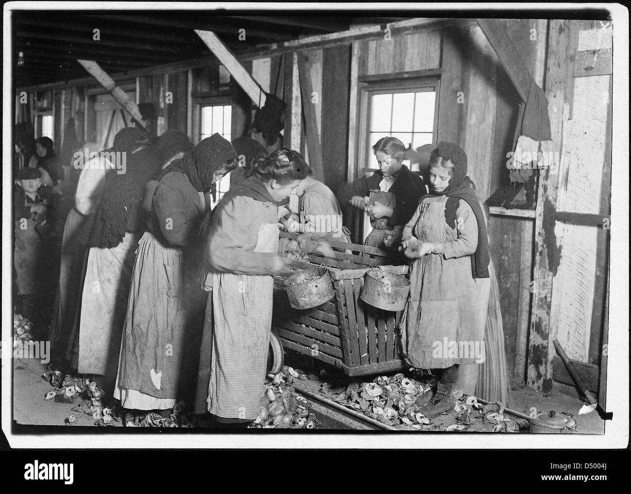 On right hand end is Marie Colbeck, 8 years old, who shucks 6 or 7 pots of oysters a day (30 or 35 cents) at Alabama Canning Factory, February 1911 Stock Photo