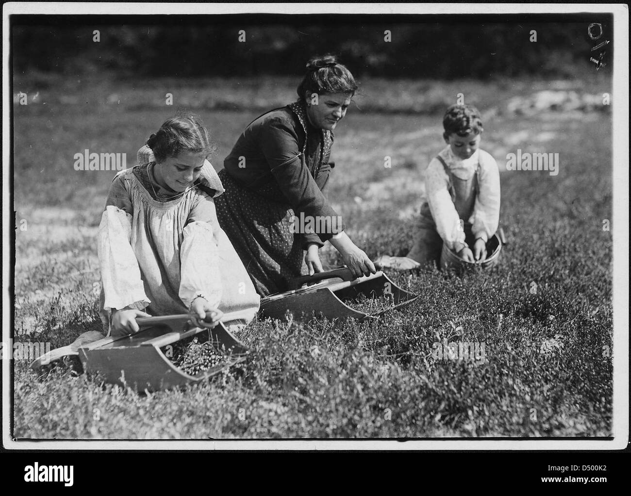 Teixiera family. Mary 11 years old; Manuel, 10 yrs. Mother and these two children pick 40 measures a day at 7 cents a measure, September 1911 Stock Photo