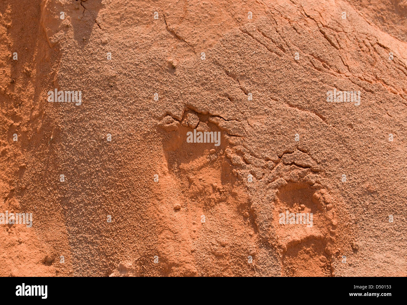 Abstract Reddish Sand Background Stock Photo Alamy