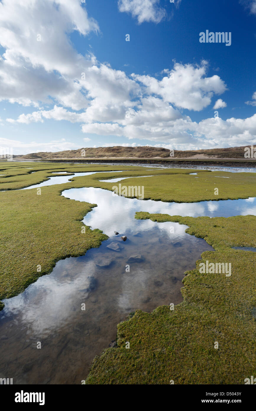 Salt Marsh in the River Ogmore Estuary. Vale of Glamorgan. Wales. UK. Stock Photo