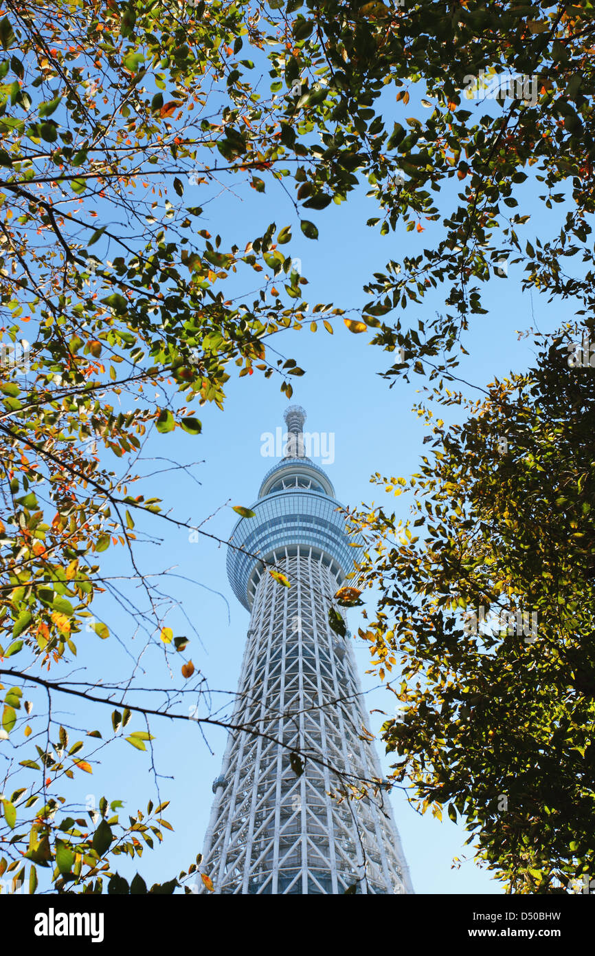 Tokyo Sky Tree Stock Photo