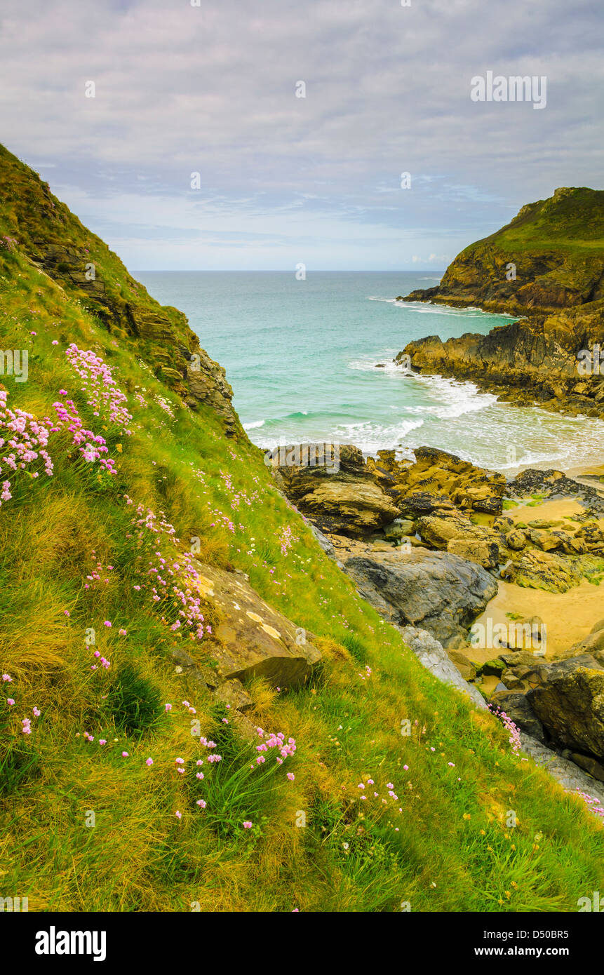 Lundy Bay near Port Quin, Cornwall, England Stock Photo Alamy