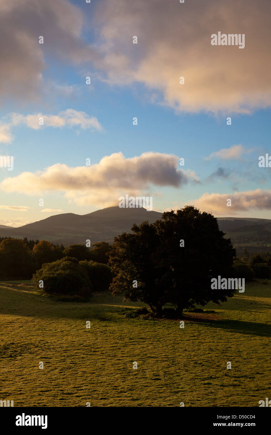 Dawn over Great Sugar Loaf mountain from Powerscourt estate, County Wicklow, Ireland. Stock Photo