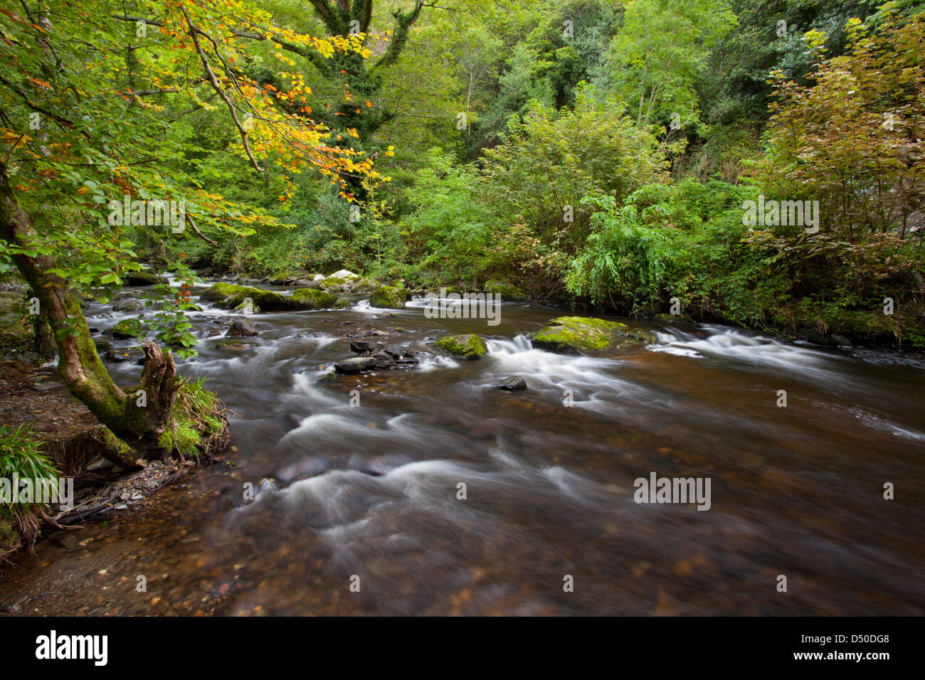 The River Vartry flowing through the Devil's Glen, County Wicklow, Ireland. Stock Photo