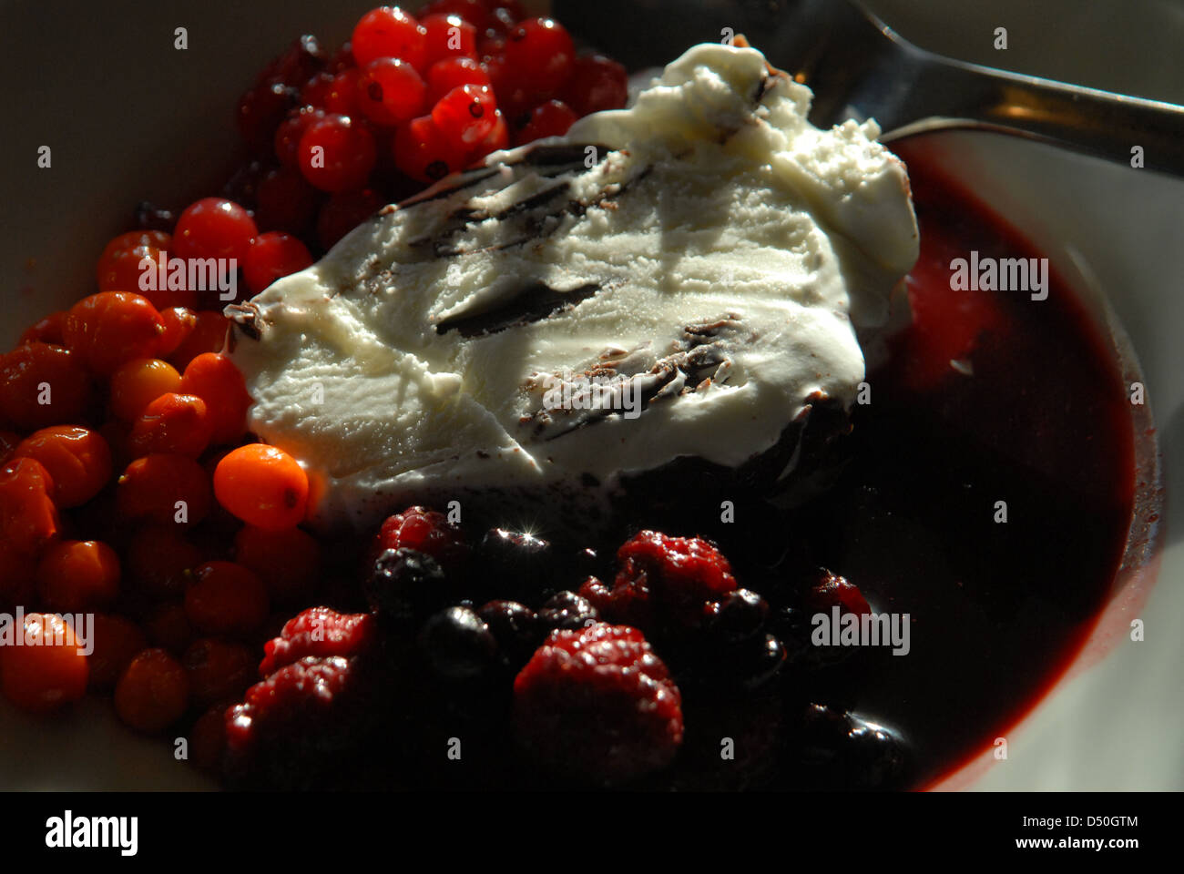 Vanilla and chocolate ice cream with berries. Stock Photo