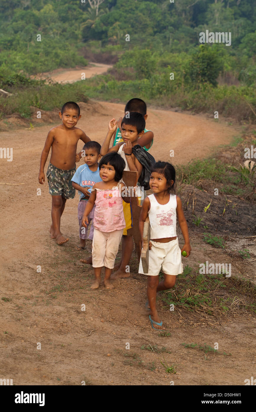 Amerindian girls and boys of the Arawak tribe, Fair View village. Iwokrama Forest, Guyana. Stock Photo