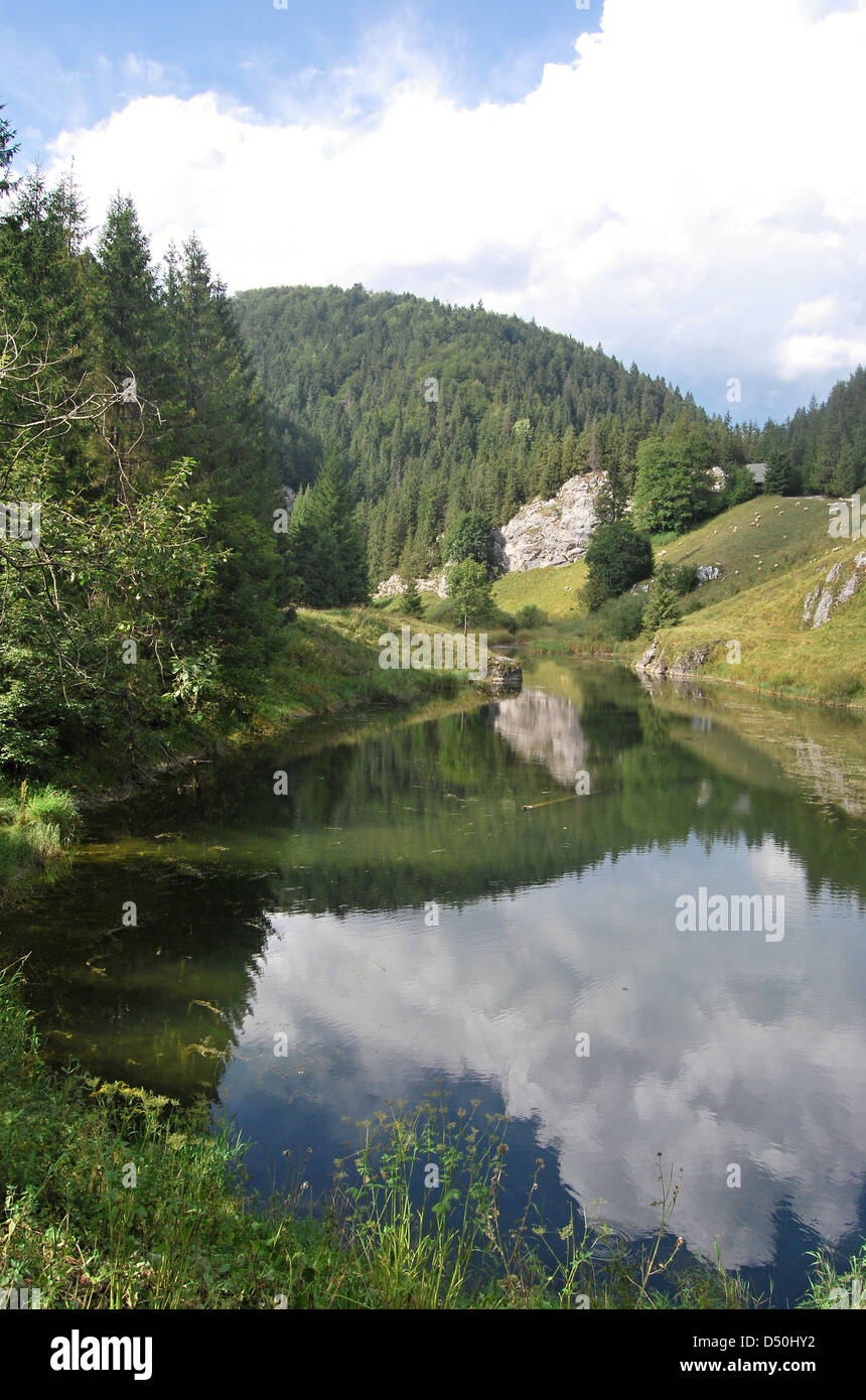 little pond on Slovensky raj between Stratena and Dedinky villages Stock Photo