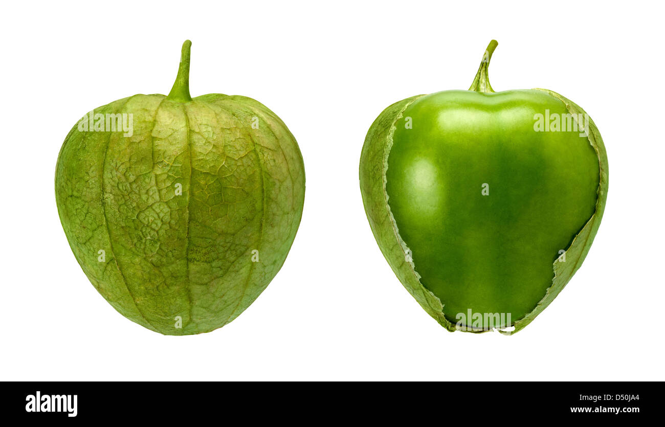 Tomatillo Pair Isolated on a white background Stock Photo
