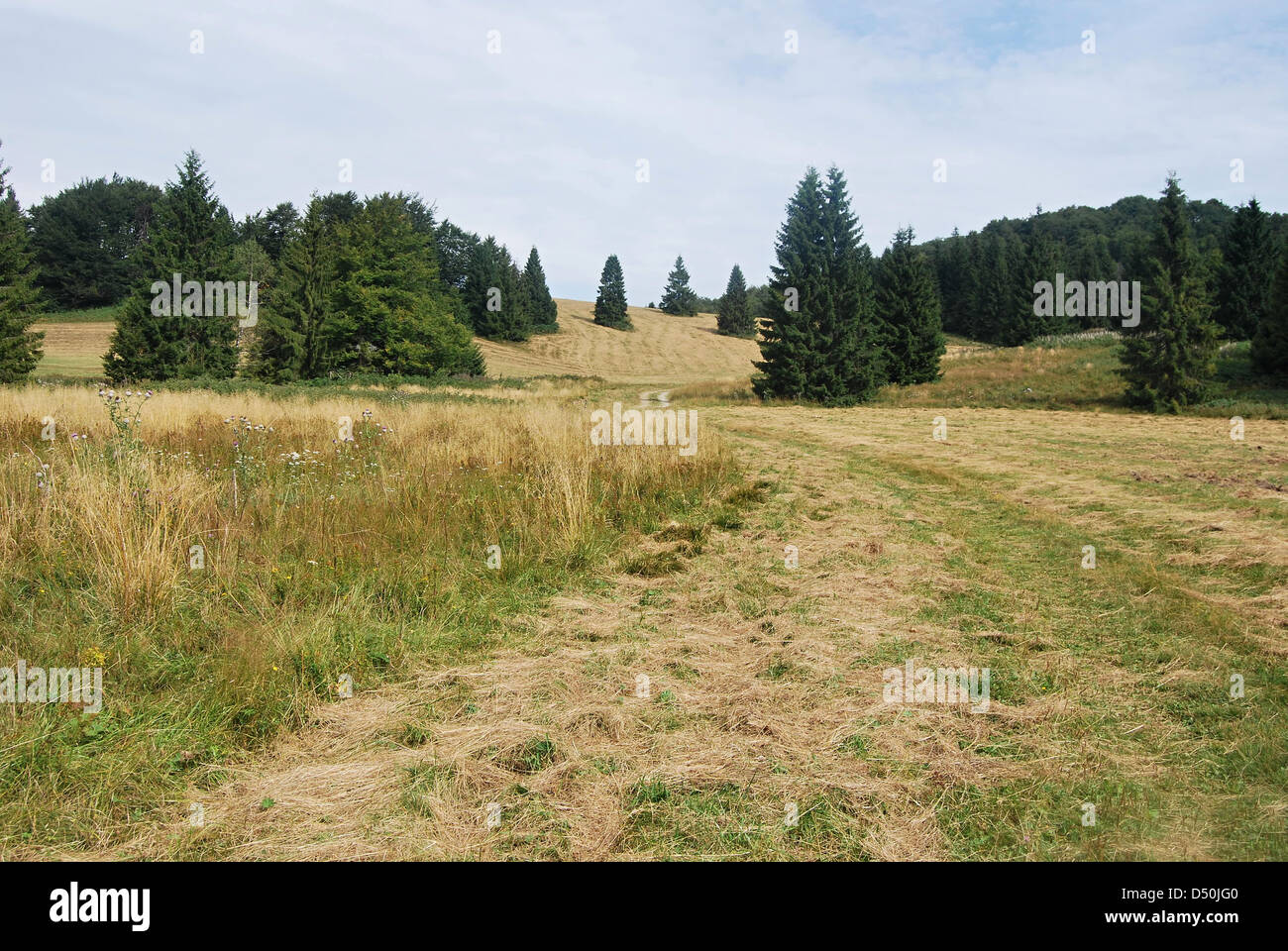 on the Geravy hill in Slovensky raj National park Stock Photo