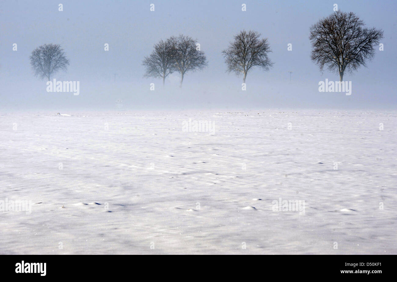 Bäume ragen am Dienstag (30.11.2010) nahe Perkam (Niederbayern) aus dem Nebel über einem mit Schnee bedeckten Feld. Winterwetter herrscht derzeit in Bayern. Foto: Armin Weigel dpa/lby Stock Photo