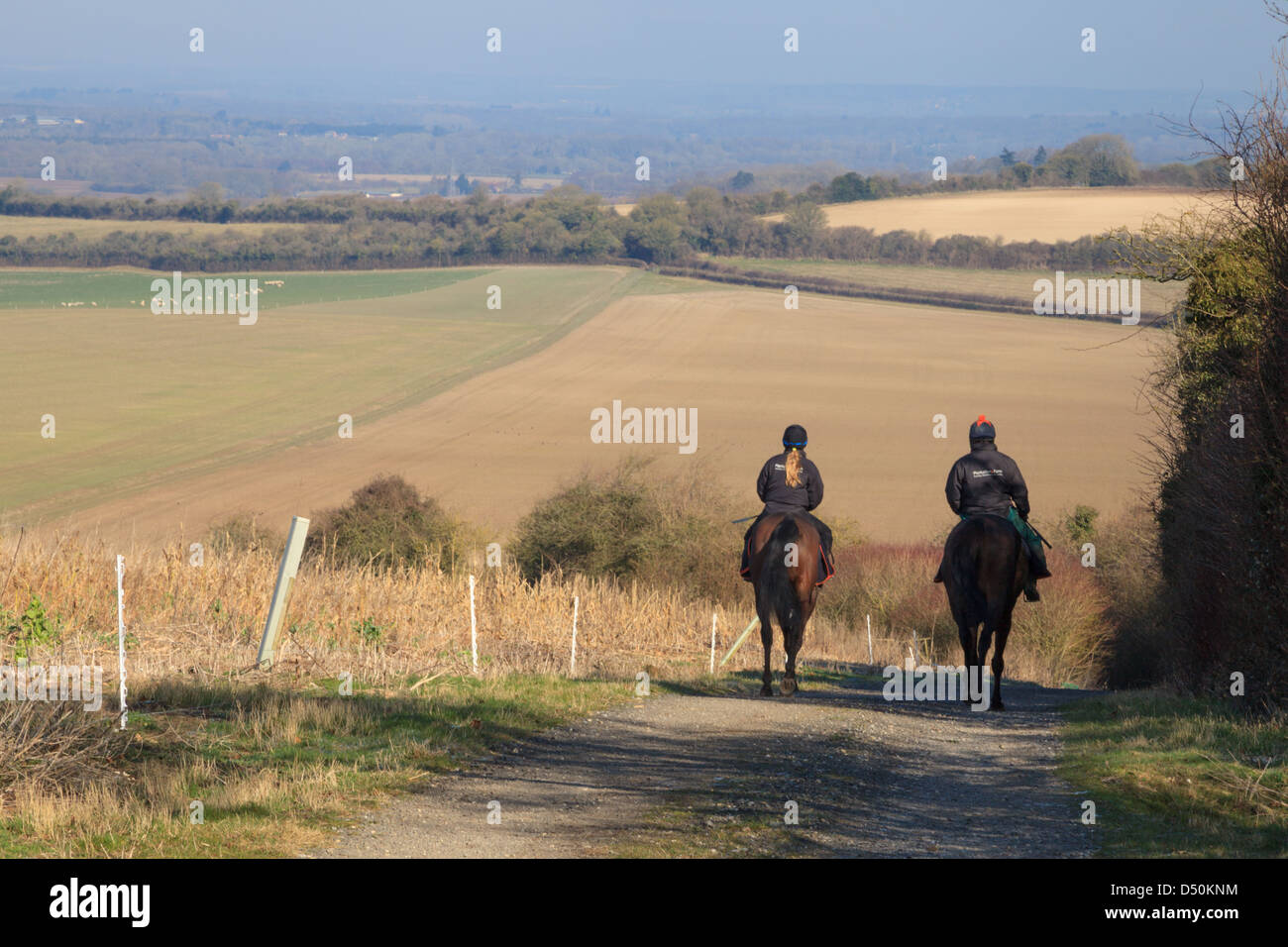 Two horseriders riding in Hampshire near Cottington Hill Stock Photo