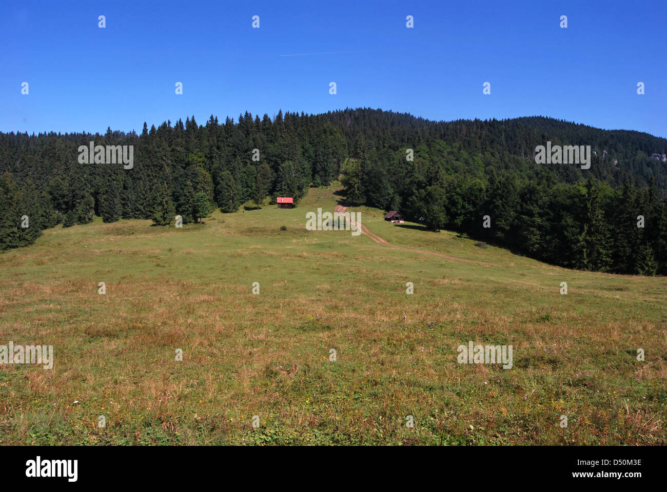 meadows and chalets called Nizna Klakova on Muranska planina national park Stock Photo
