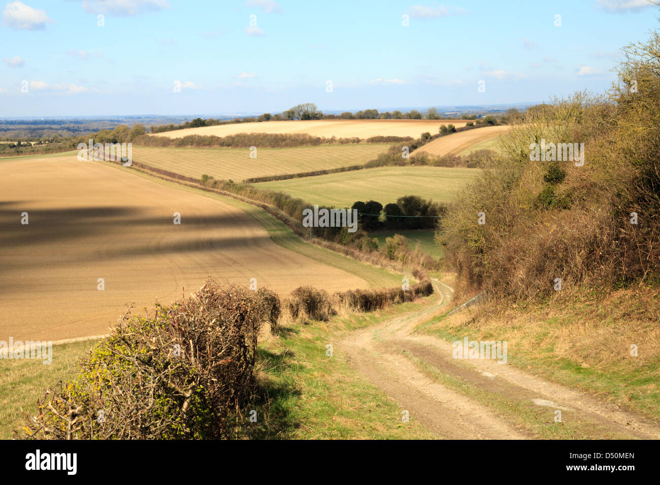 A track in leading from Plantation Hill to Kingsclere in Hampshire, England Stock Photo