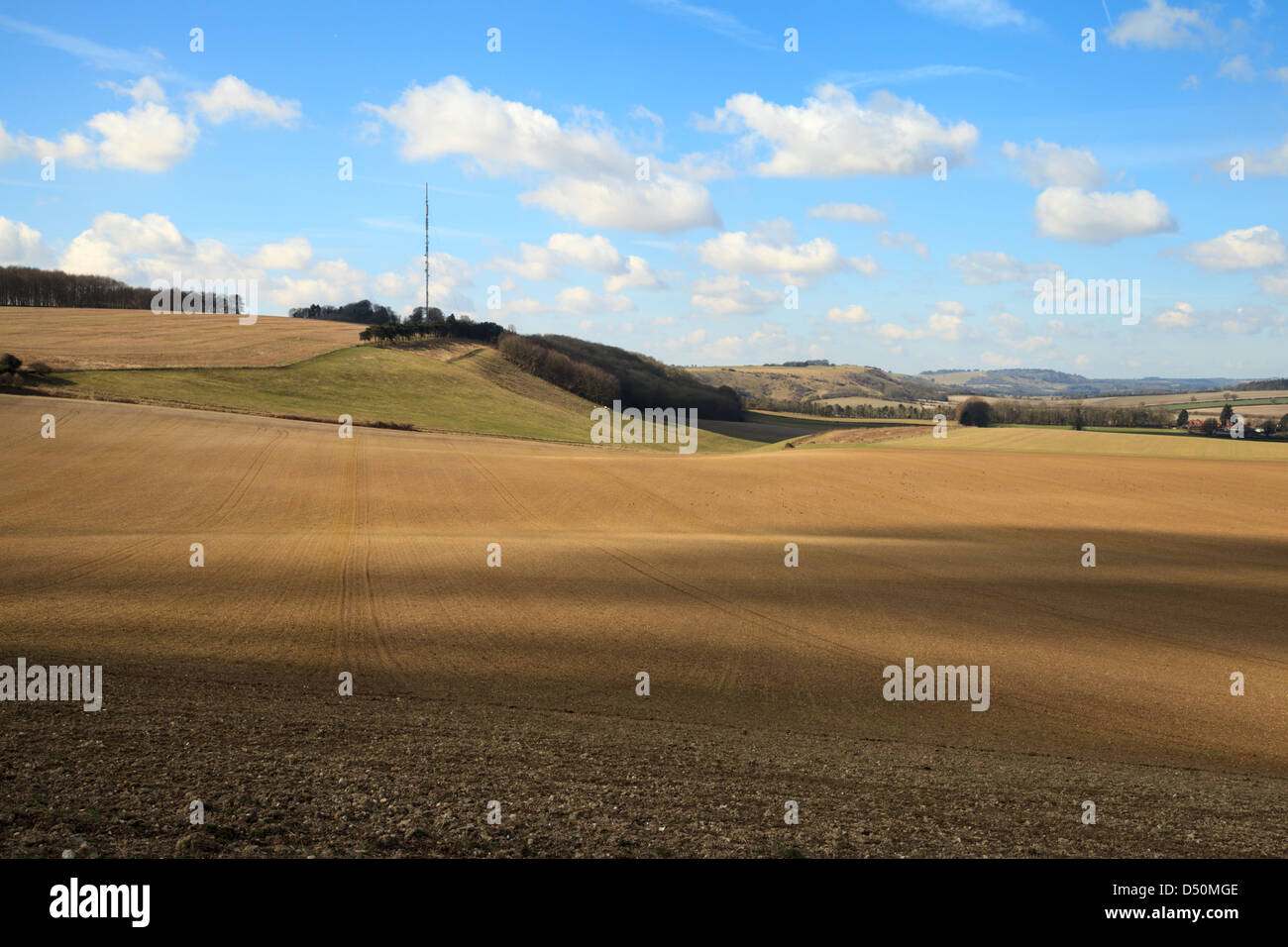 A view of Cottington's Hill TV Mast near Kingsclere in Hampshire Stock Photo