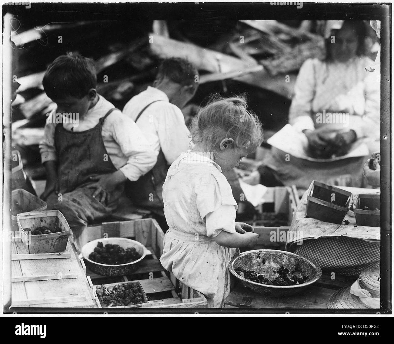 Year old boys hulling berries at johnsons canning camp seaford hi-res