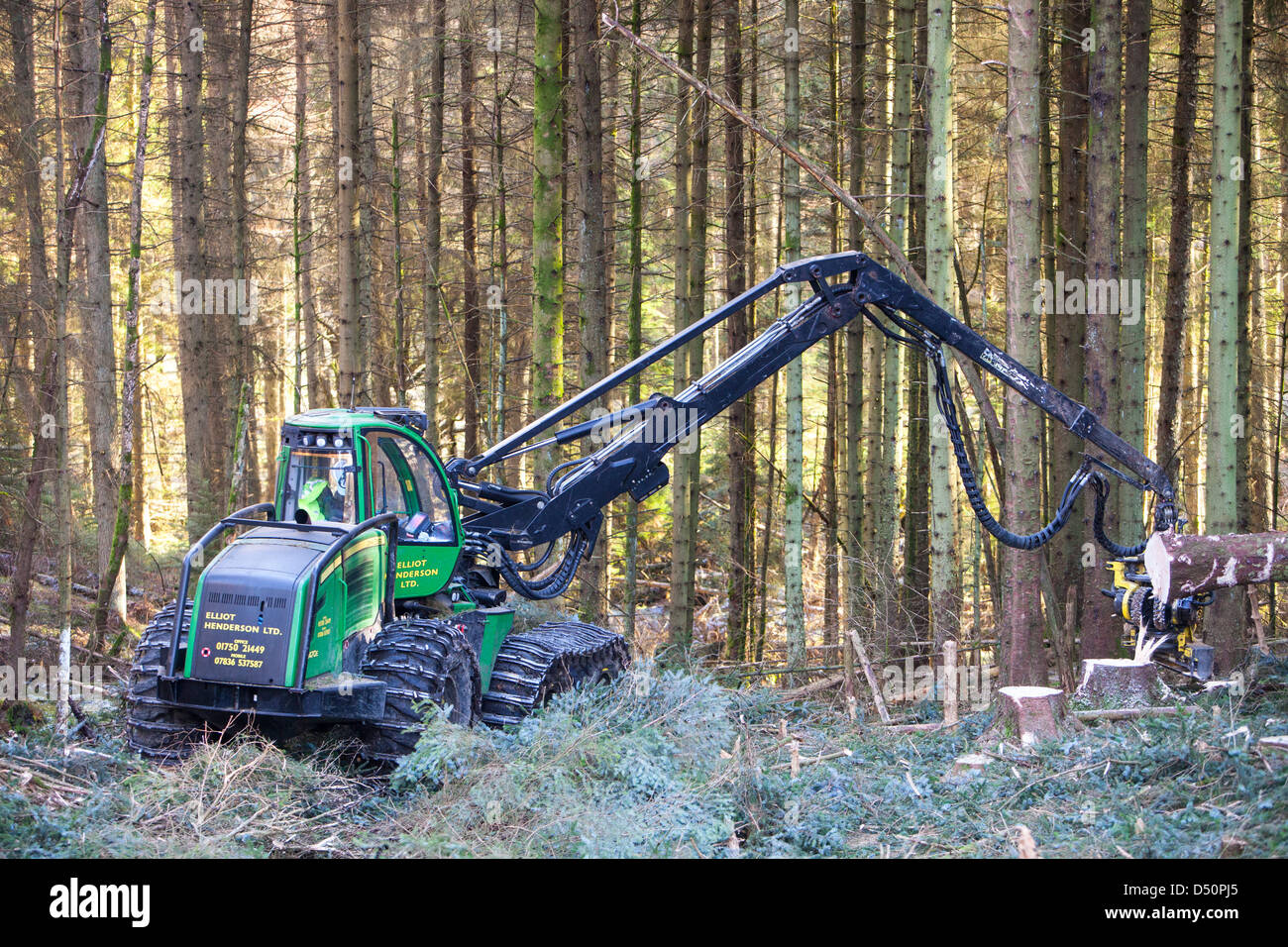 A forwarder harvesting timber in Grizedale Forest, Lake District, UK. Stock Photo