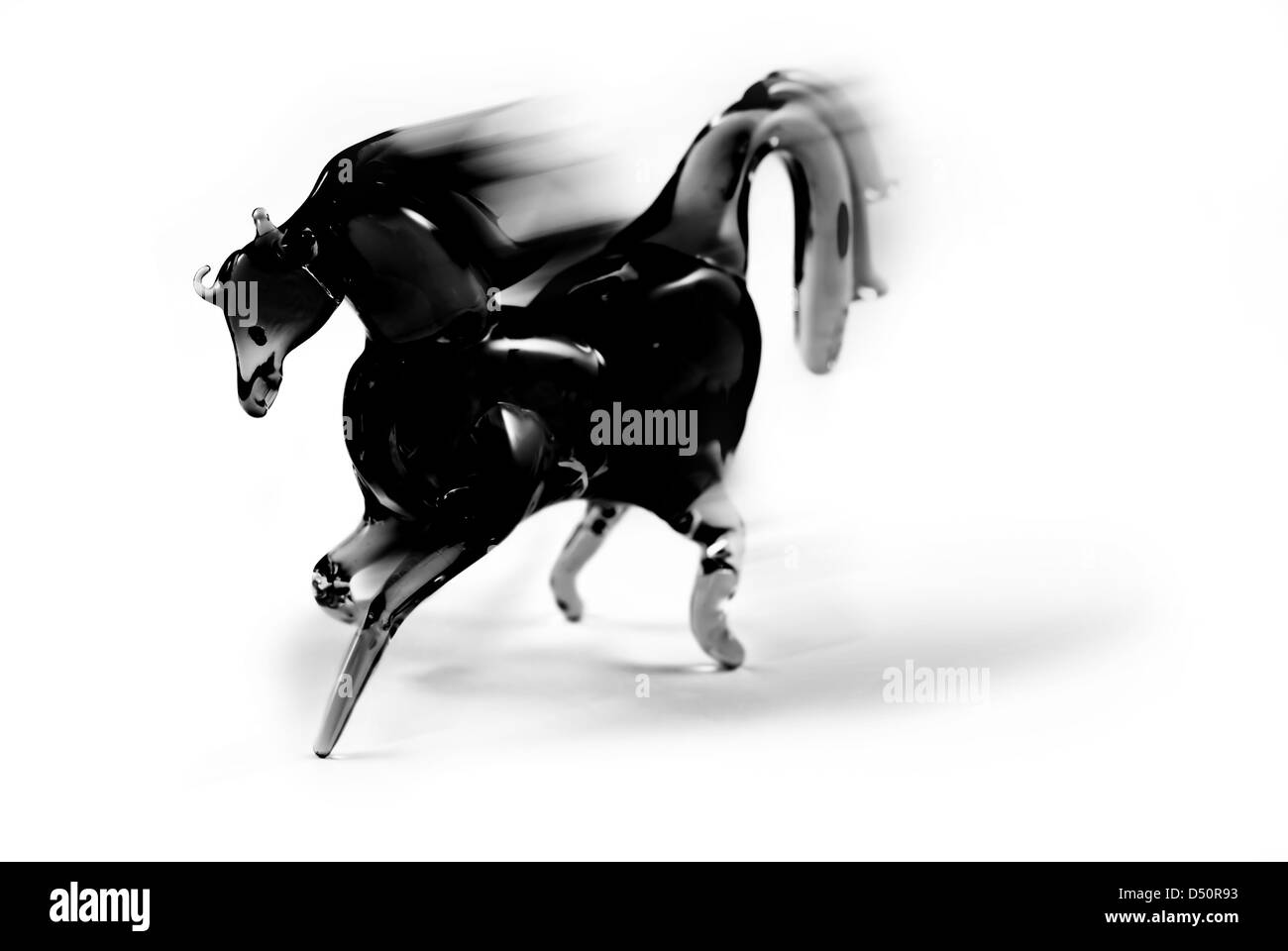 Black horse on white background Stock Photo