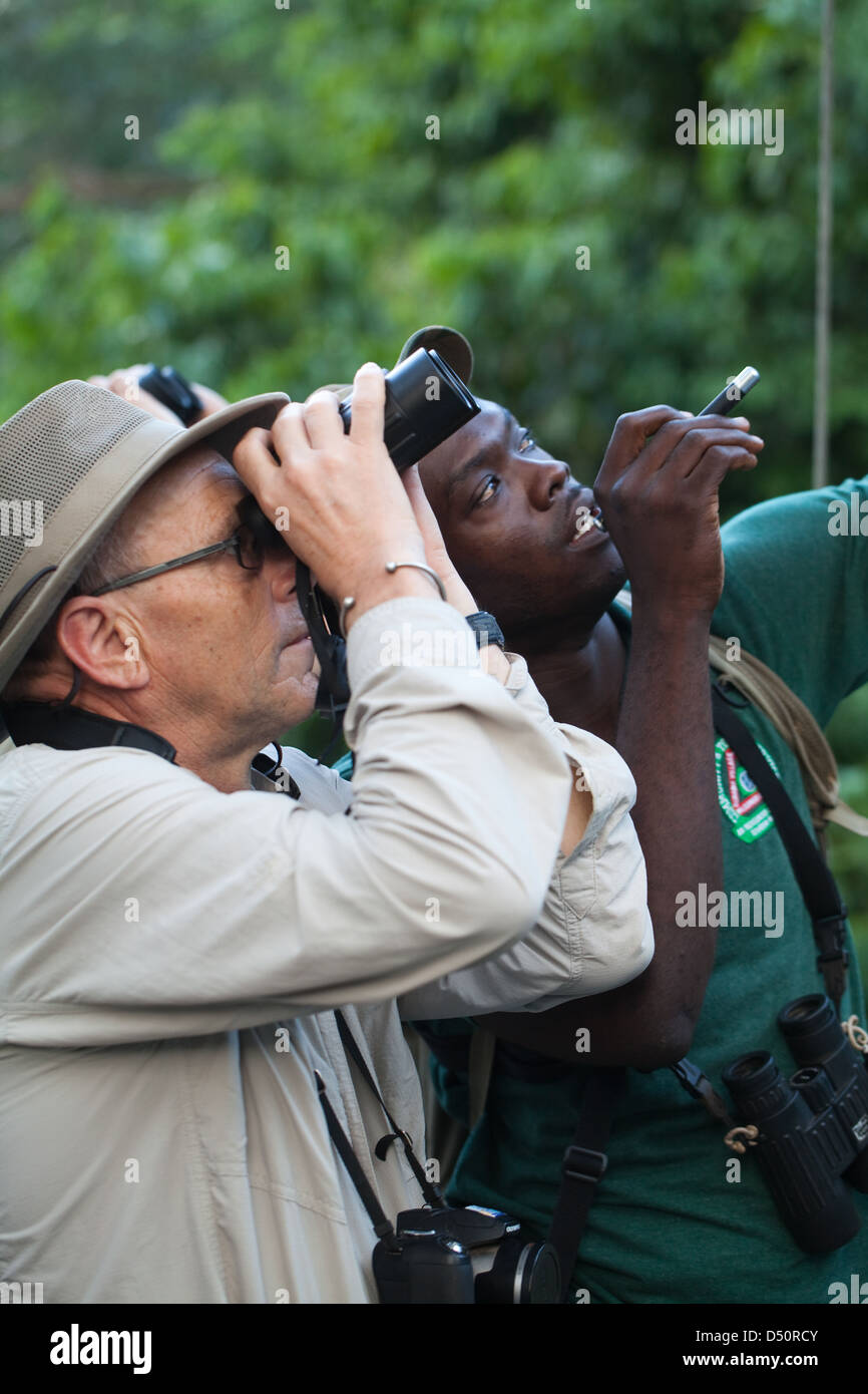 Laser diode hires stock photography and images Alamy