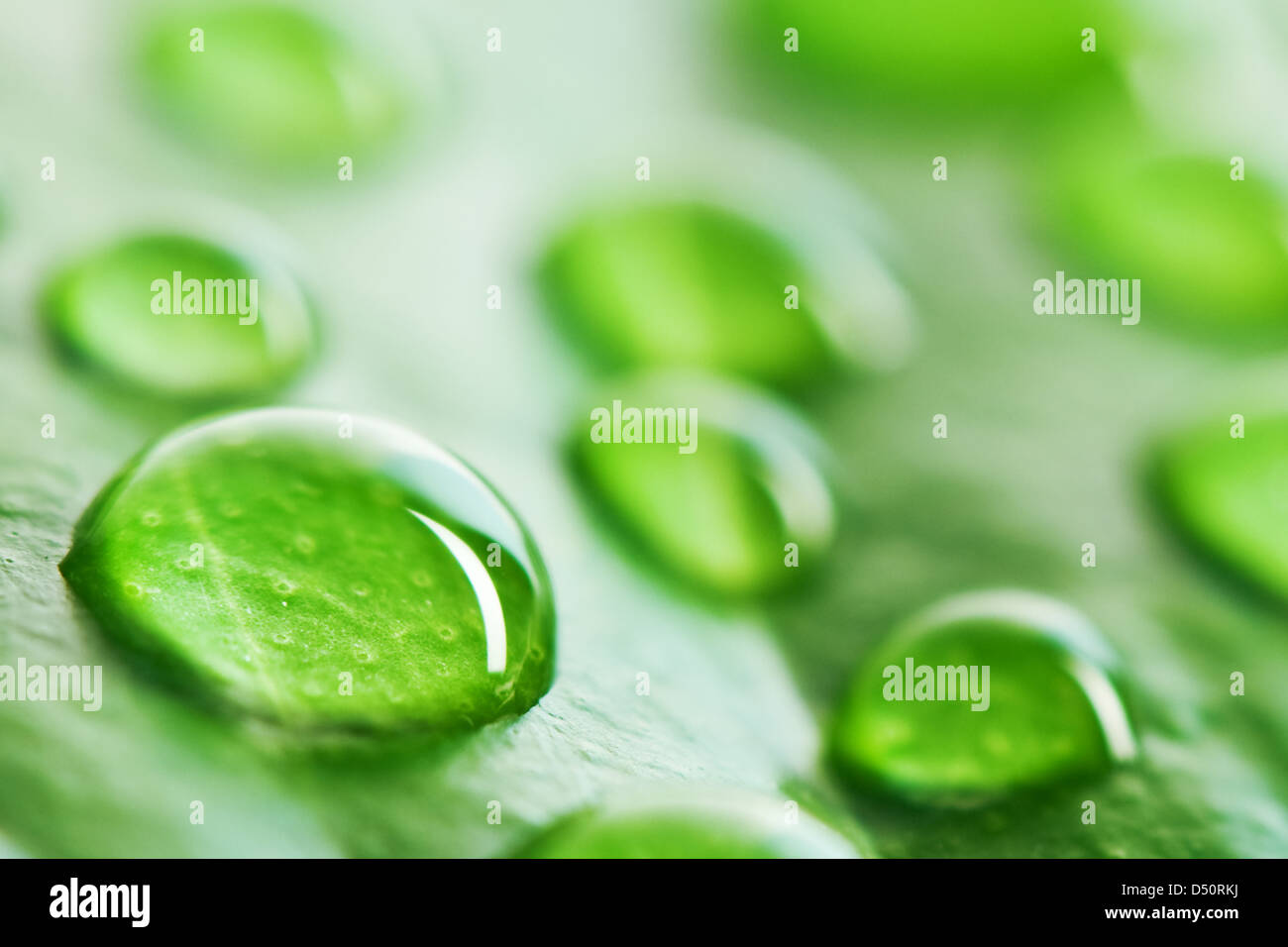 green leaf background with raindrops Stock Photo - Alamy