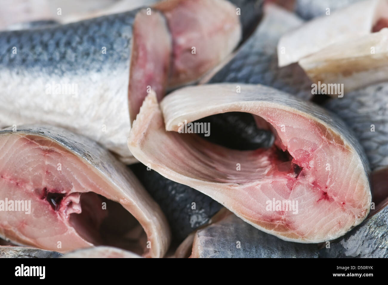 fresh herring pieces close up Stock Photo