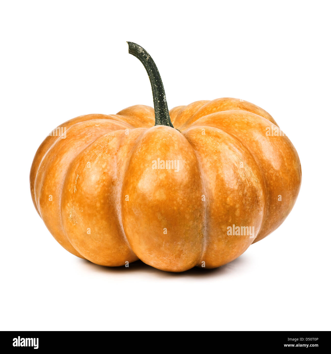 pumpkin isolated on white background Stock Photo - Alamy