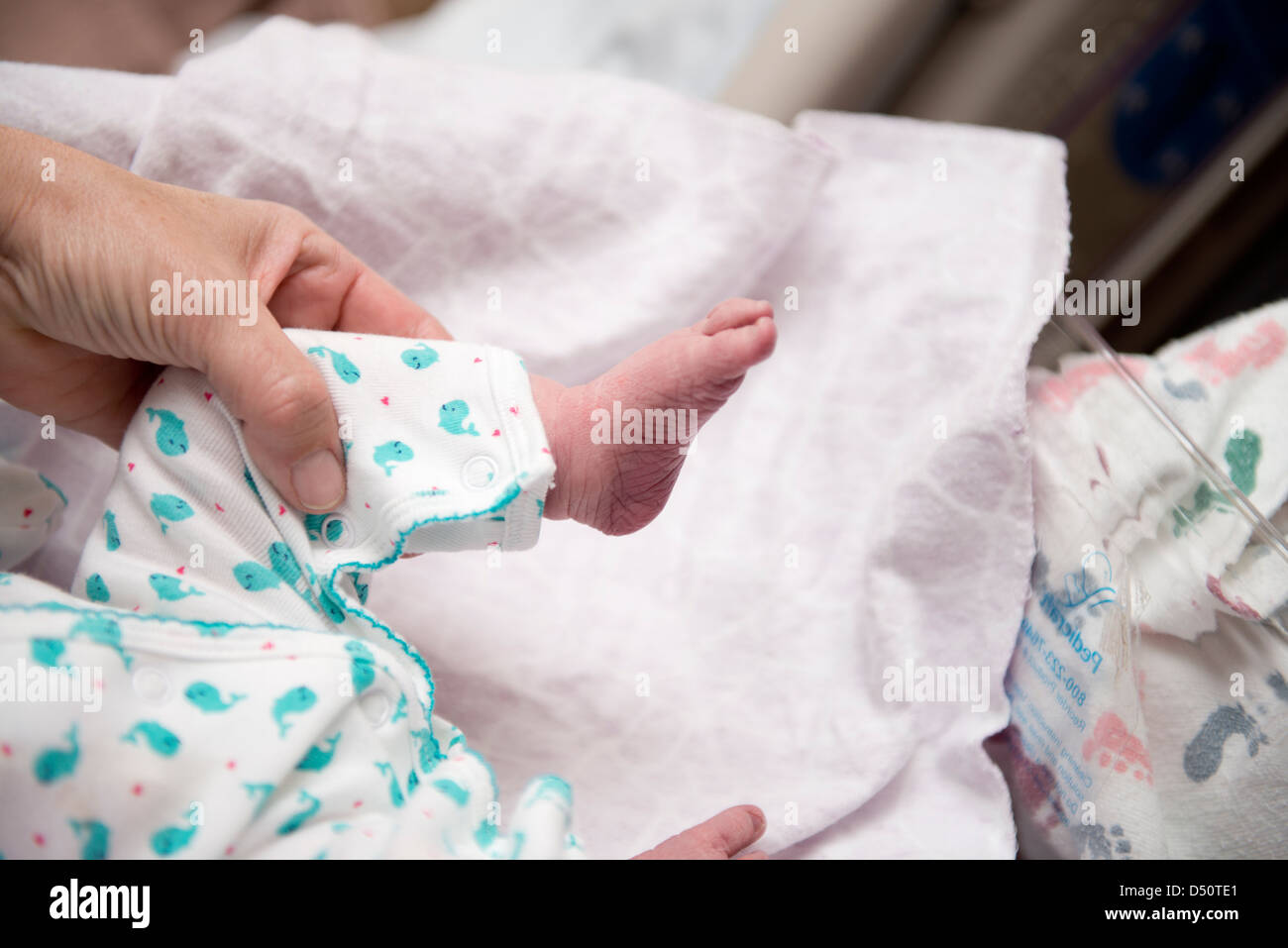 A newborn baby girl, only 16 hours old. Her grandmother checks fingers and toes. USA. Stock Photo