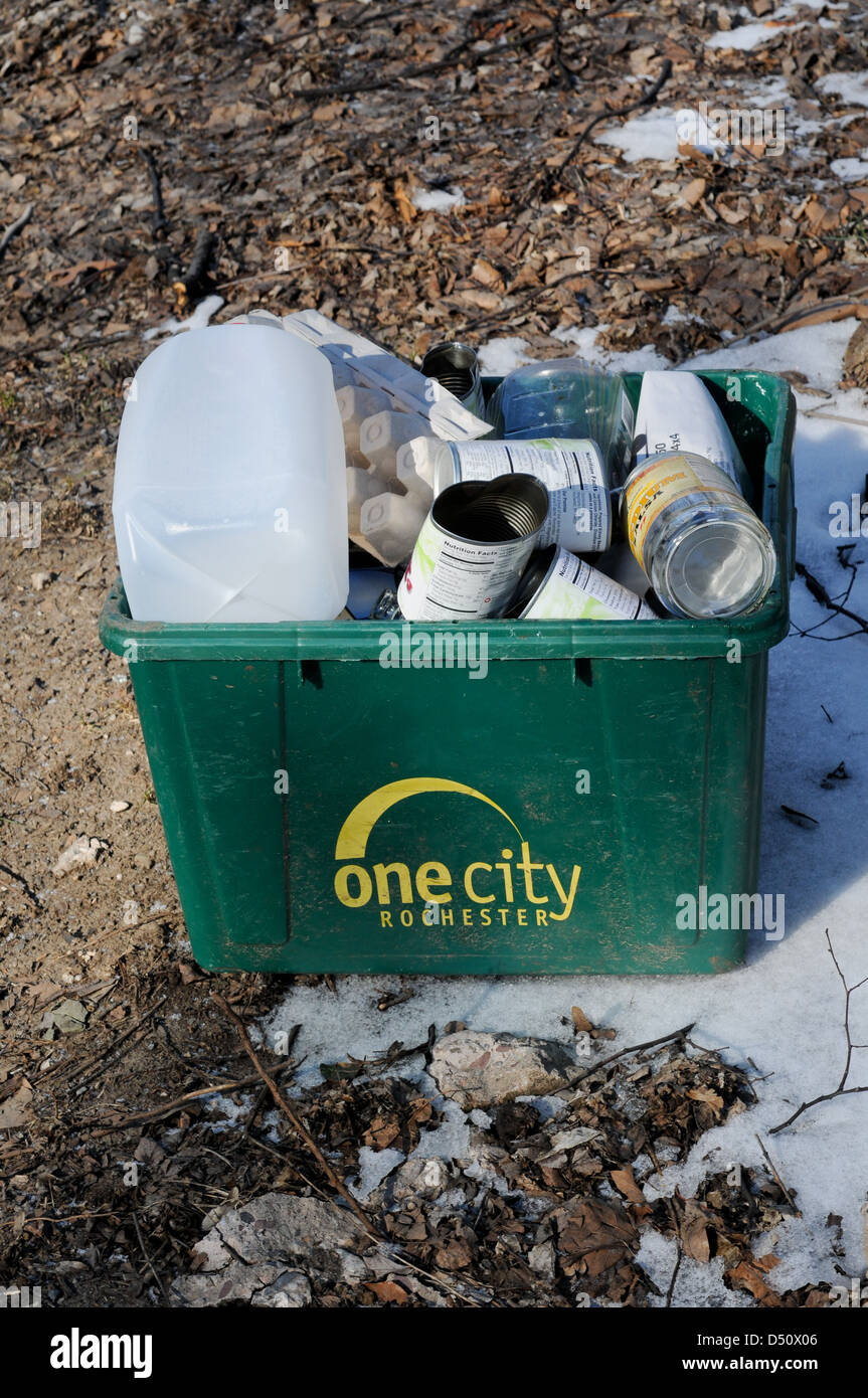 Recycling bin ready for pick up in Rochester, New York Stock Photo Alamy