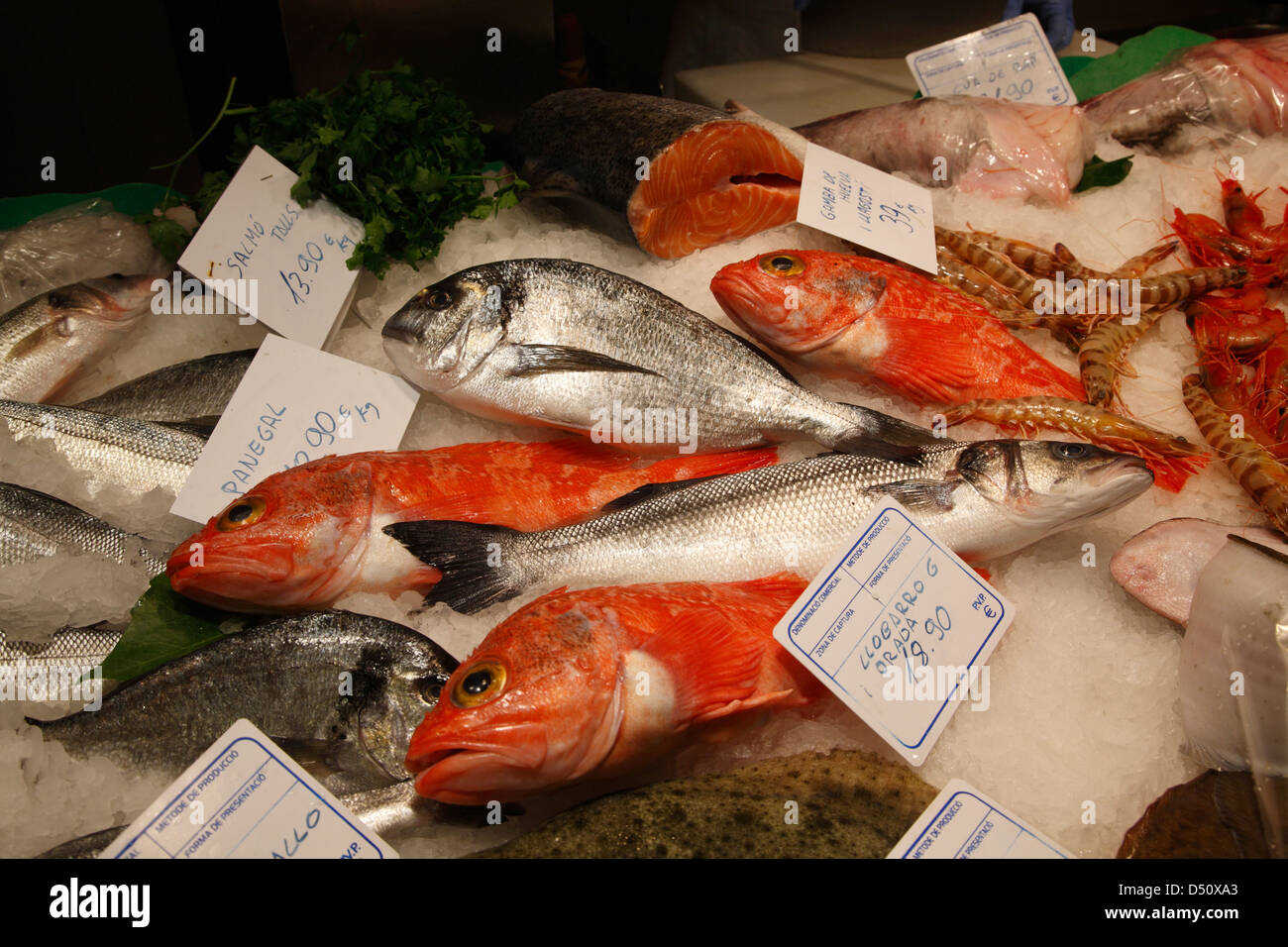 Market hall MERCAT de la BOQUERIA, fish stall, Barcelona, Spain Stock Photo