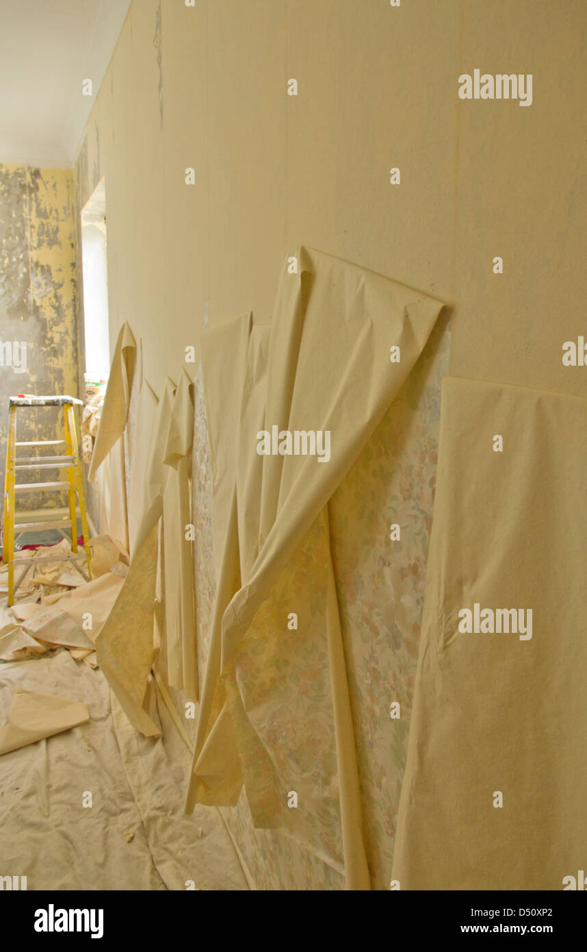 Wallpaper stripping, removal, strips, decorating, redecorating Stock