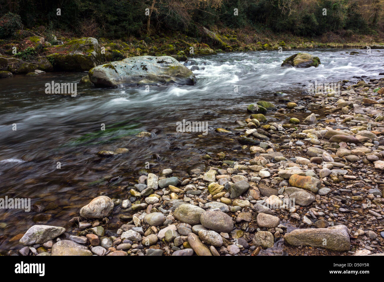 Flowing river with rounded stones on the beach, flowing water, movement, fluid Stock Photo