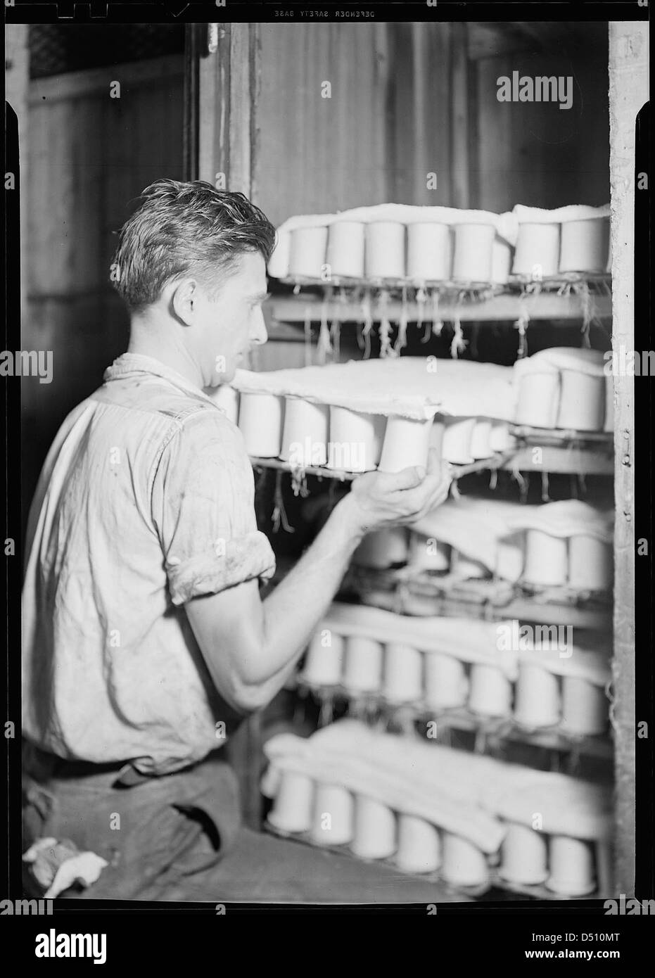 Bobbins being shelved prior to use on warping creel. Cloths are put over the bobbins to prevent too rapid drying out, as the thread must be slightly moist to work with, March 1937 Stock Photo