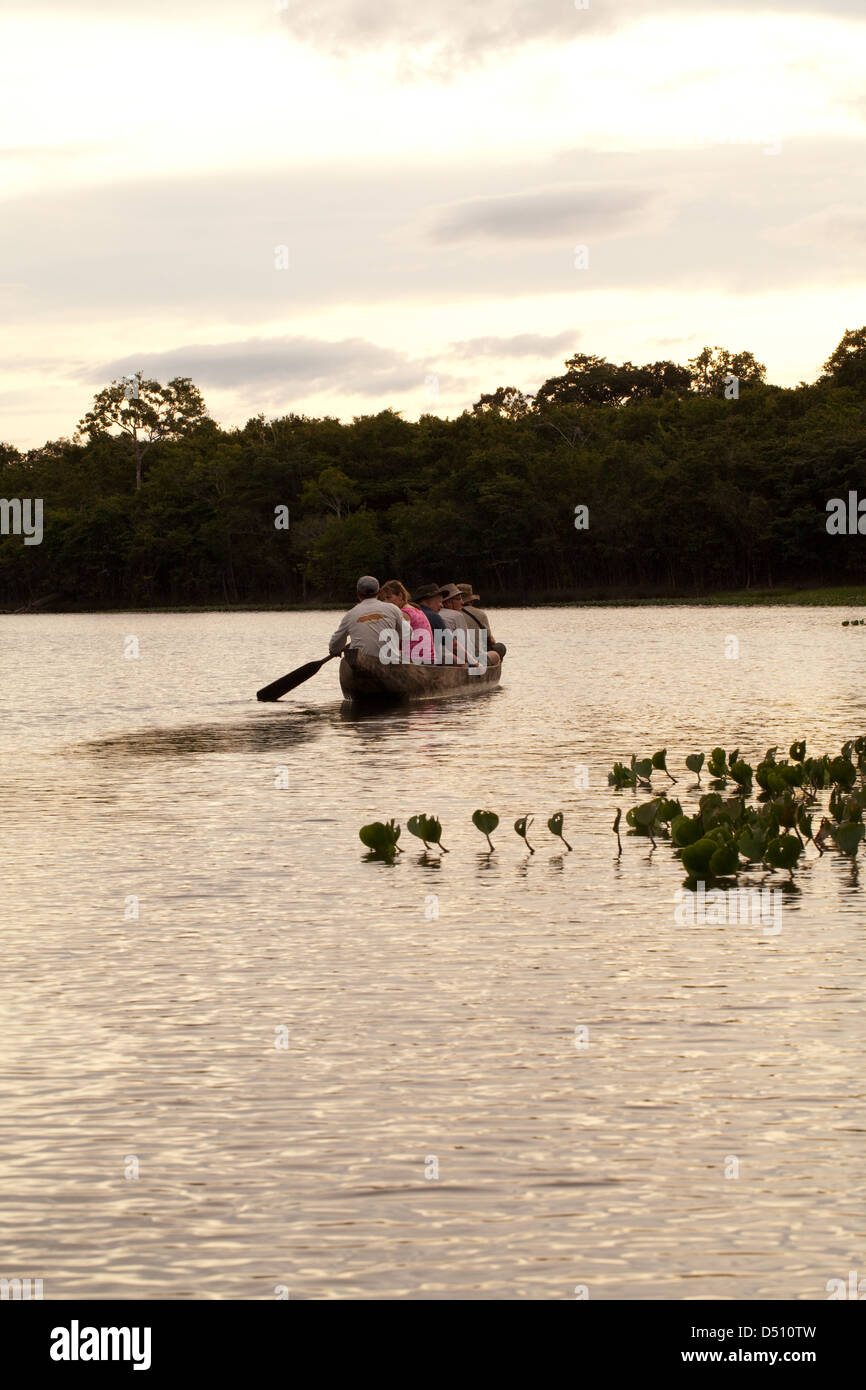 Eco-tourists with a local Amerindian Guide paddling in a dugout canoe around an ox-bow lake deviating from the River Rewa Guyana Stock Photo