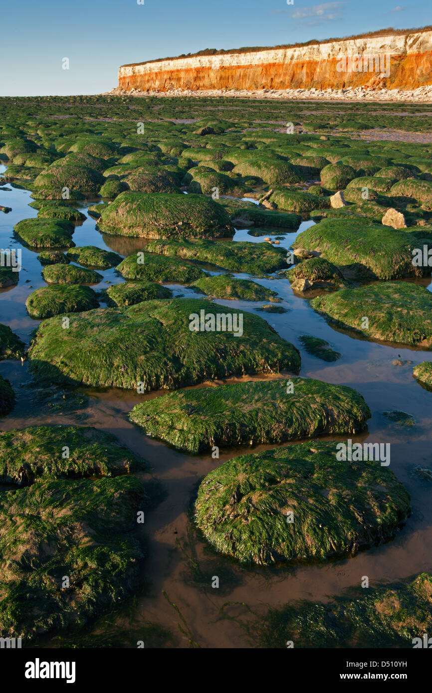 Hunstanton cliffs hi-res stock photography and images - Alamy