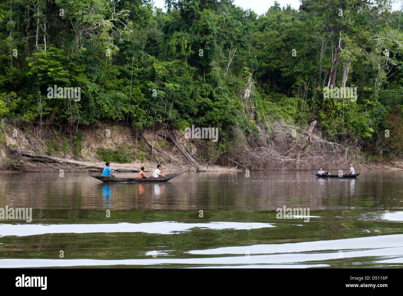 Dug Out Canoes in use by local Amerindian villagers, fishing on line and hooks over the side. Forest trees reaching down to the Stock Photo