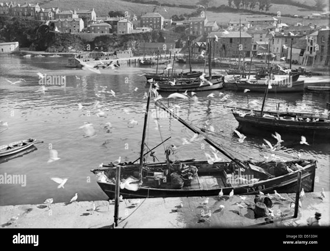 Harbour and flock of seagulls, Mevagissey, Cornwall Stock Photo