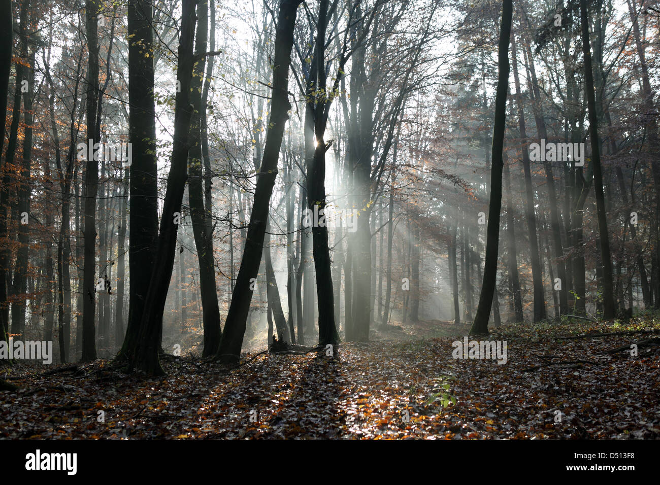 Visual Raking Light Raking light shadow hi-res stock photography and images - Alamy
