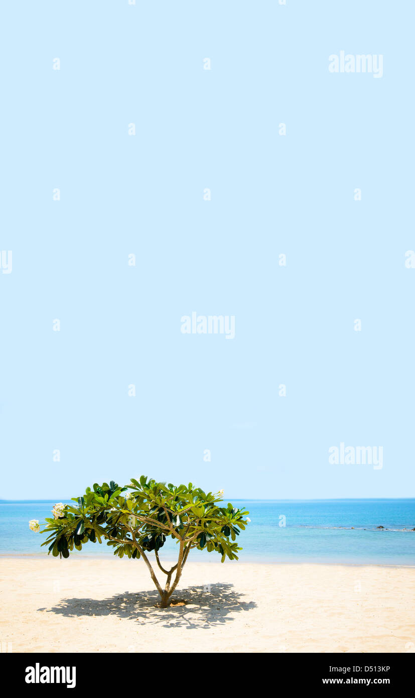 Tropical island in thailand hi-res stock photography and images - Alamy