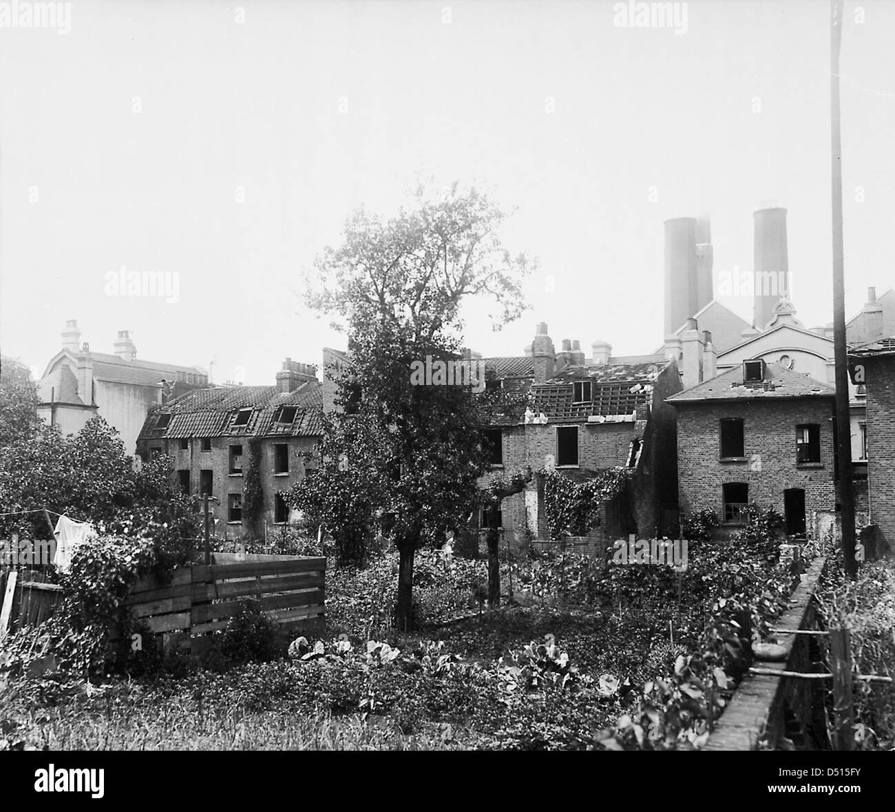 Back gardens of 5660 Trafalgar Road, Greenwich Stock Photo Alamy