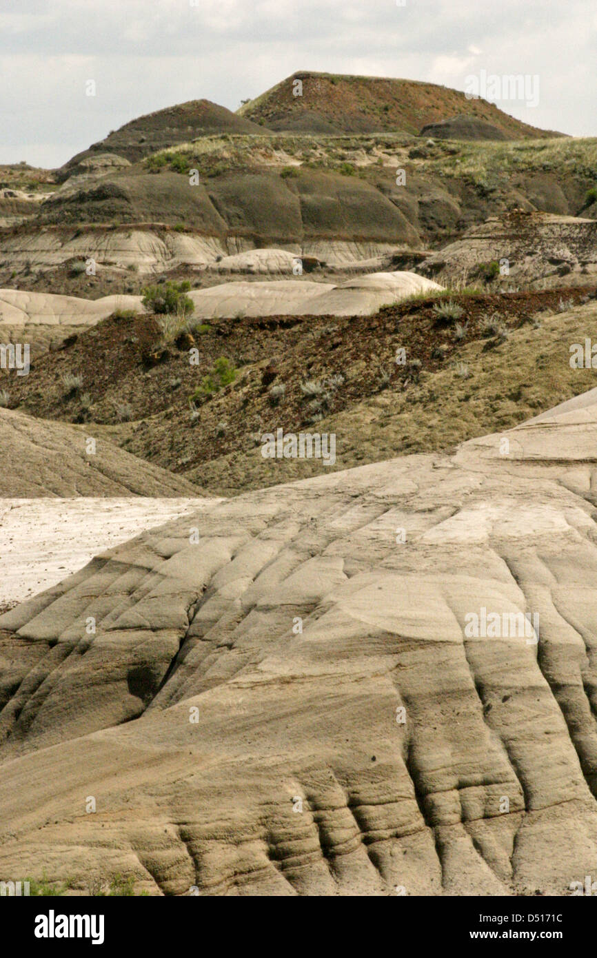 Wind and water erosion sculpt the badlands at Dinosaur Provincial Park in Alberta Canada Stock