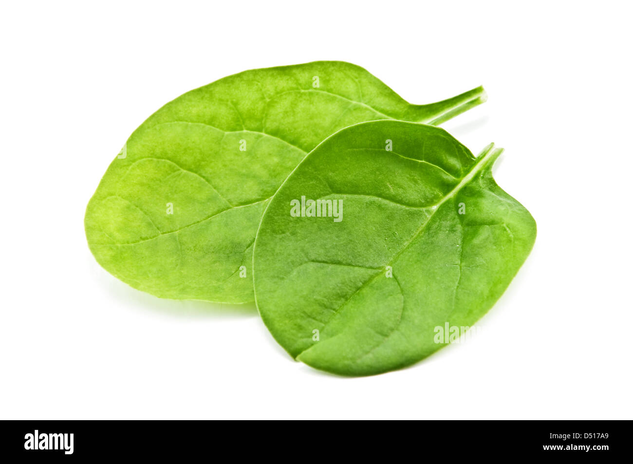 spinach isolated on white background Stock Photo - Alamy