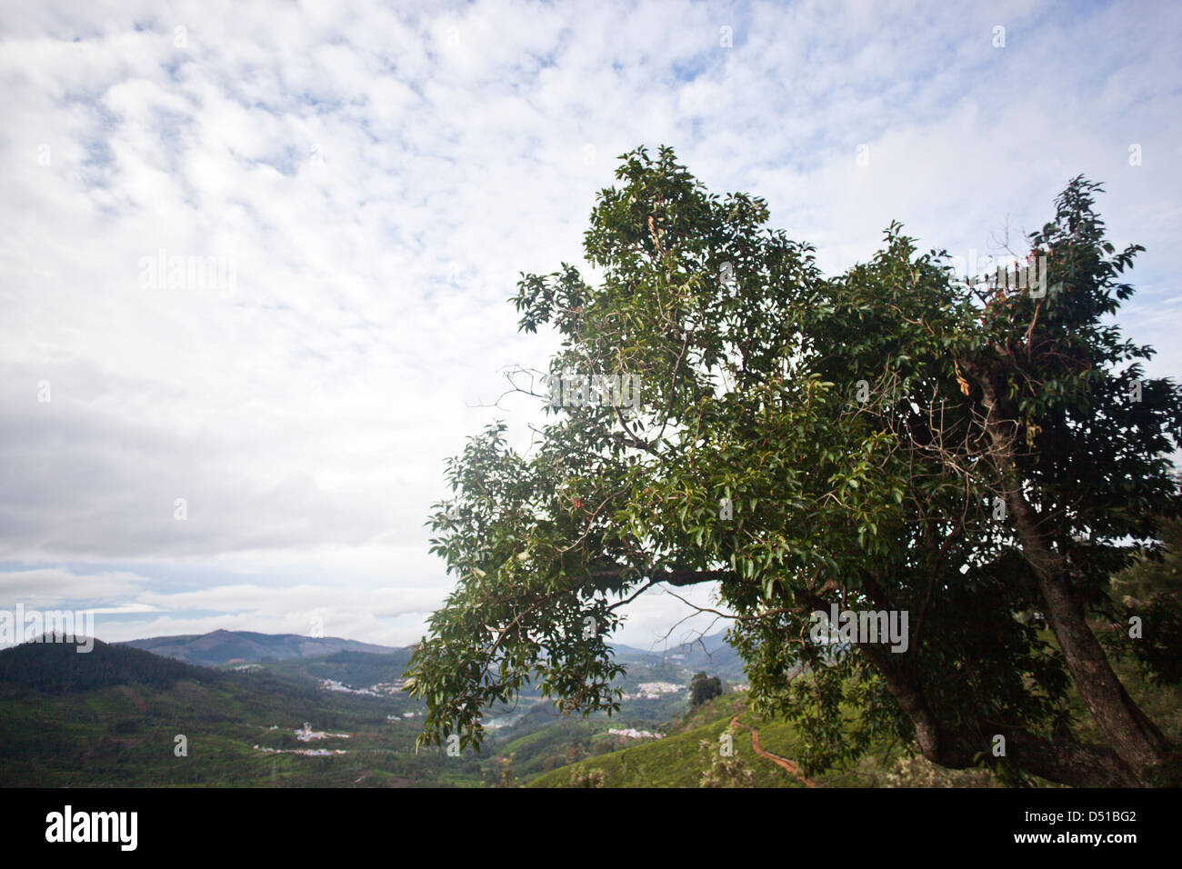 Rural tamil nadu village scene hi-res stock photography and images - Alamy