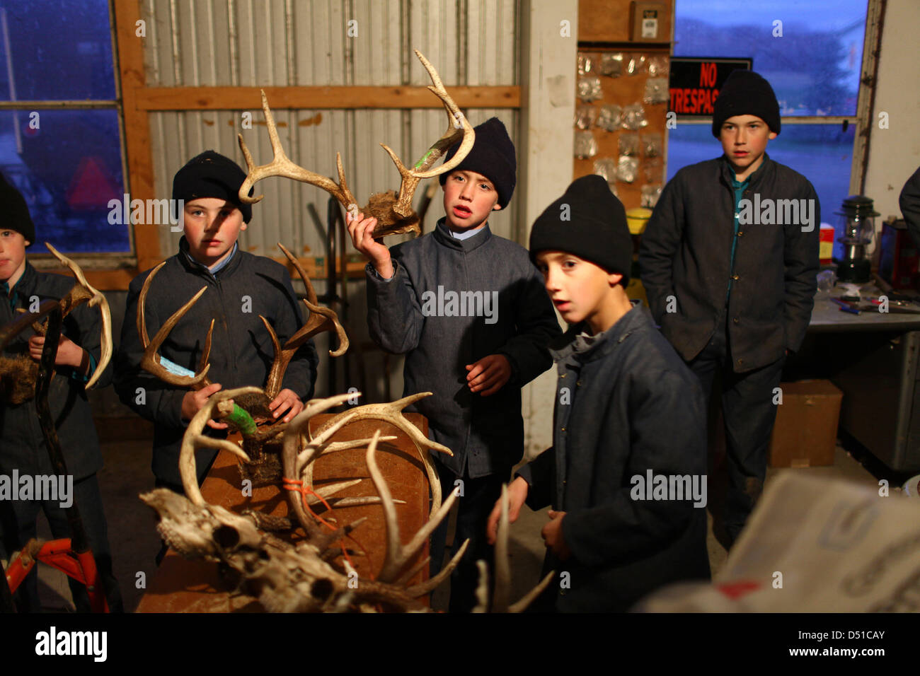 Dec 05, 2012 Bergholz, Ohio, U.S. Young Amish boys look at the antlers from the bucks that