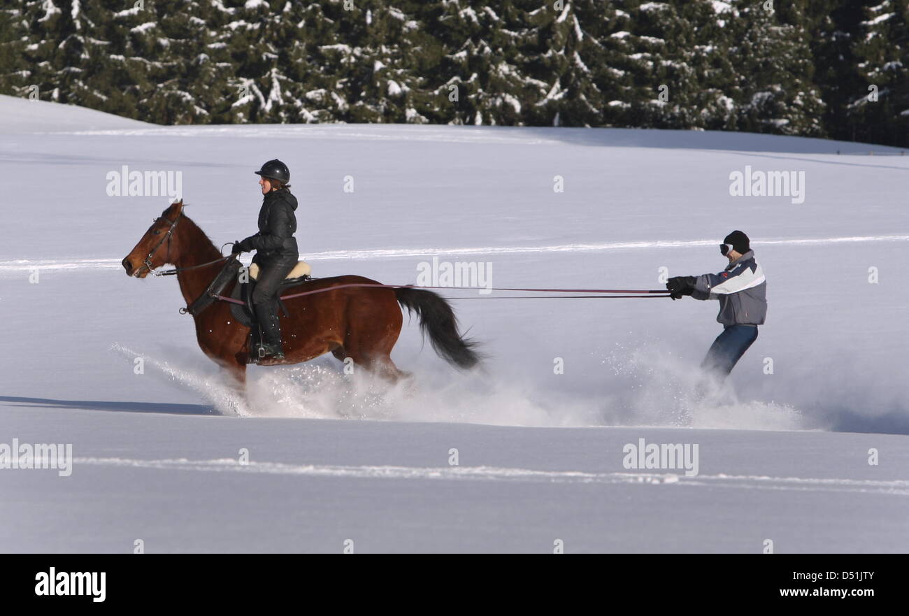 A horse rider pulls a skier through the snow near Kempten, Germany, 19