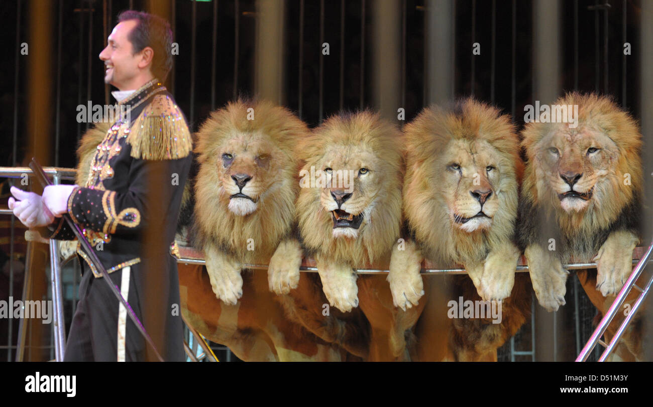 An animal trainer stands next to a row of lions in a cage during the premiere of Circus Krone's winter programme in Munich, Germany, 25 December 2010. The circus' winter season traditionally starts on Boxing Day. Photo: Andreas Gebert Stock Photo